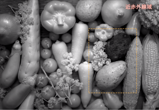 图片5 图片5